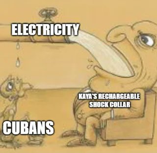 Professional body pillow user tweet media