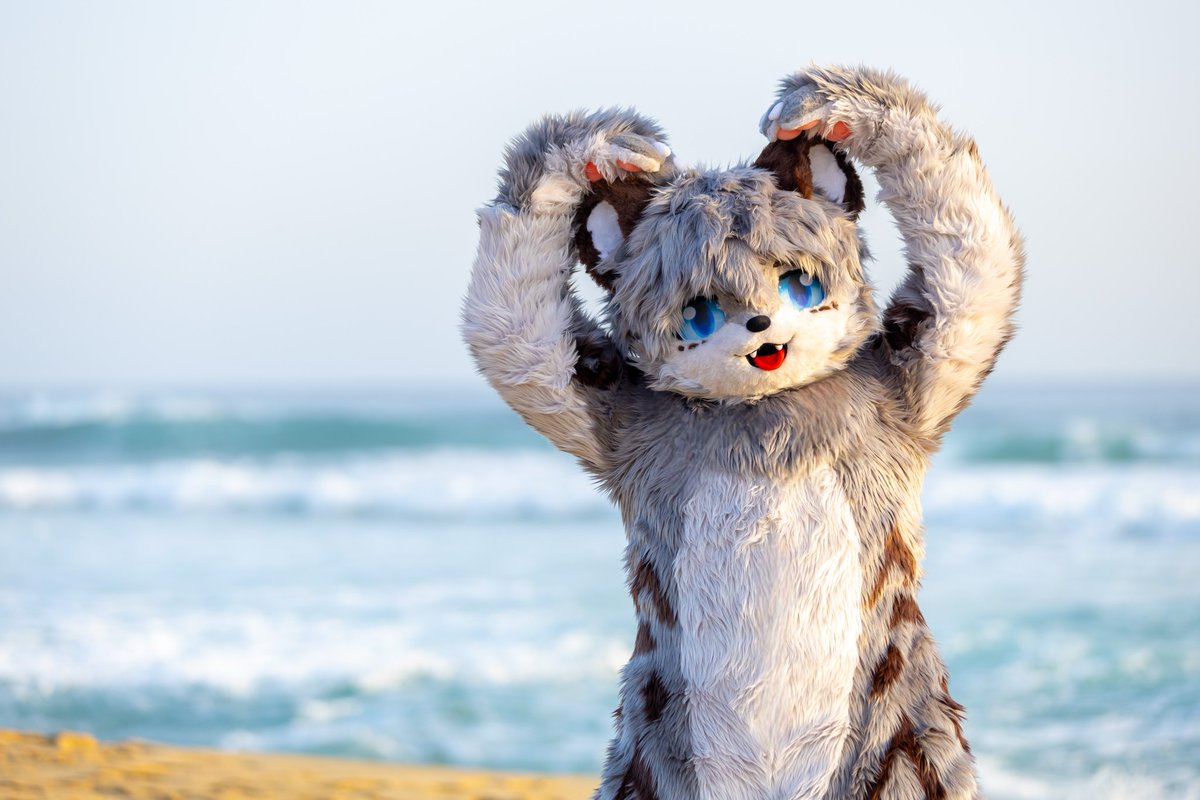 ✨️멋진사토루님✨️ tweet media