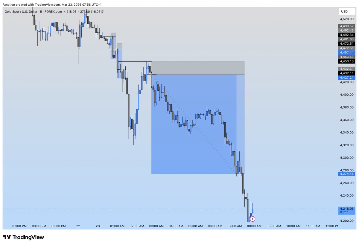 FZNATION tweet media