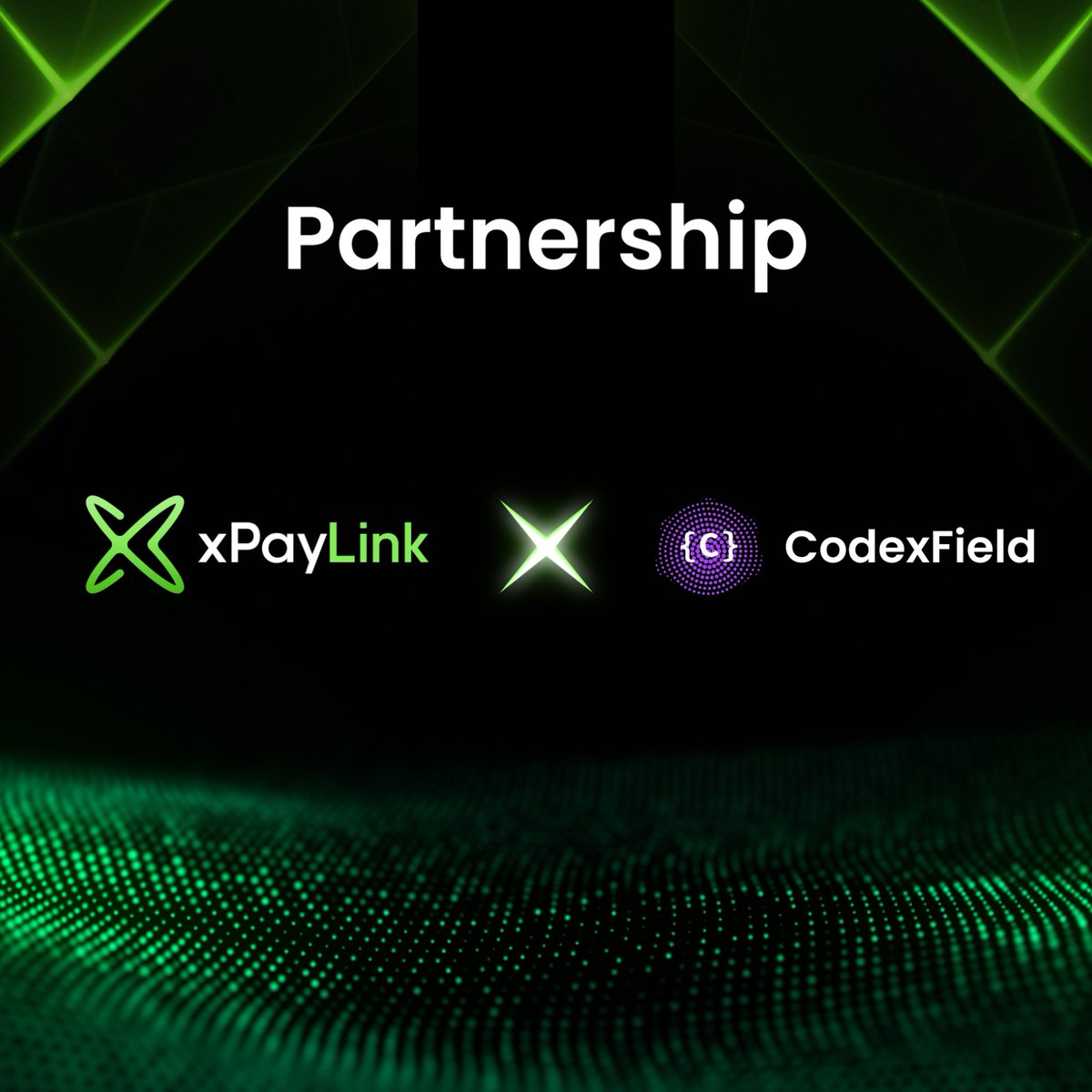 xPayLink tweet media