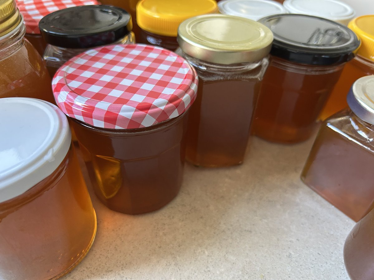 Stephen Higgins tweet media