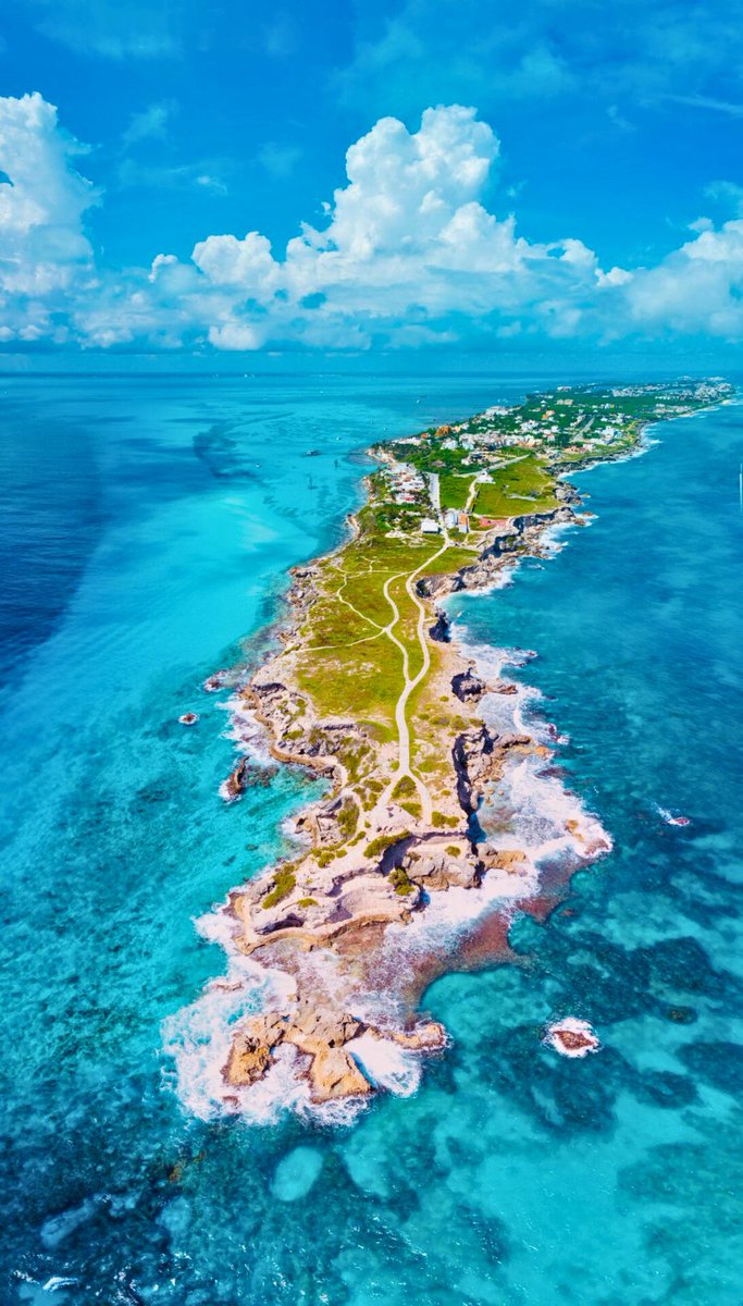 World in Pictures tweet media