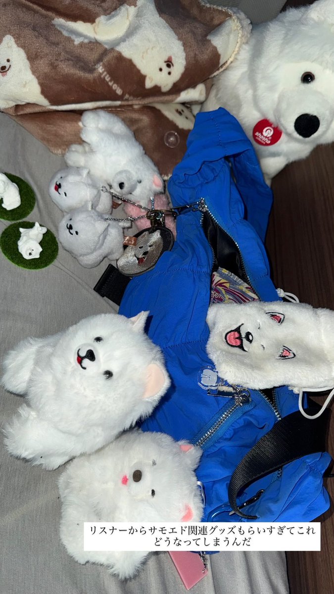 サモエド(自認)🌸💙 tweet media