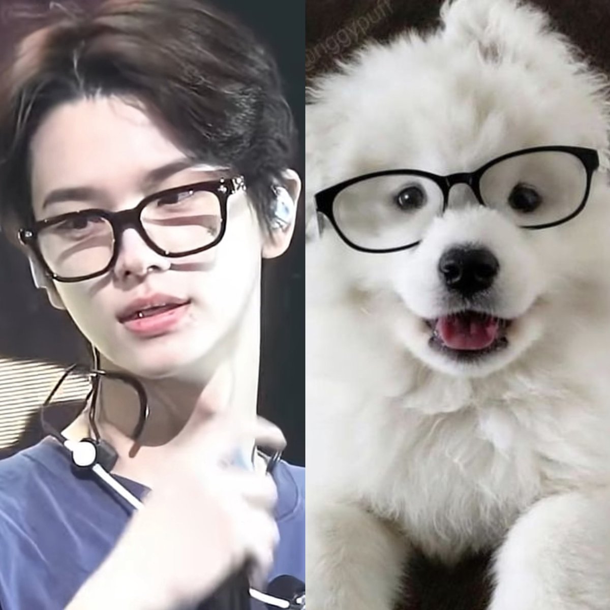 𝗨𝙡𝗶𝗸𝗲 tweet media