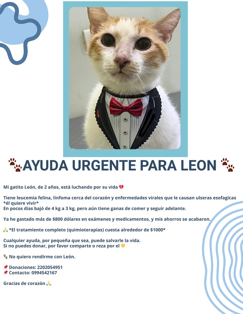 EsquizoXCry tweet media