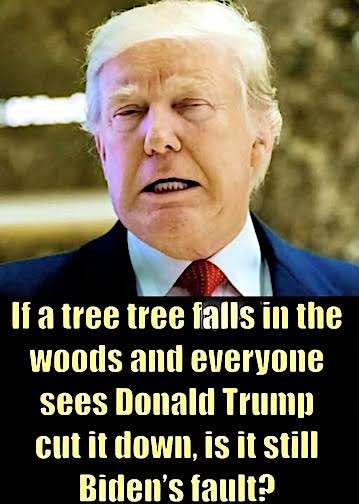 Lisa B 💙 tweet media