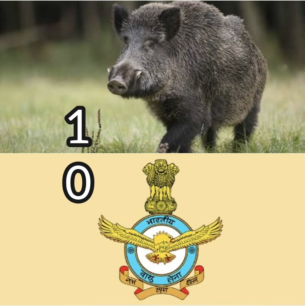 KASKAIDE-1 tweet media