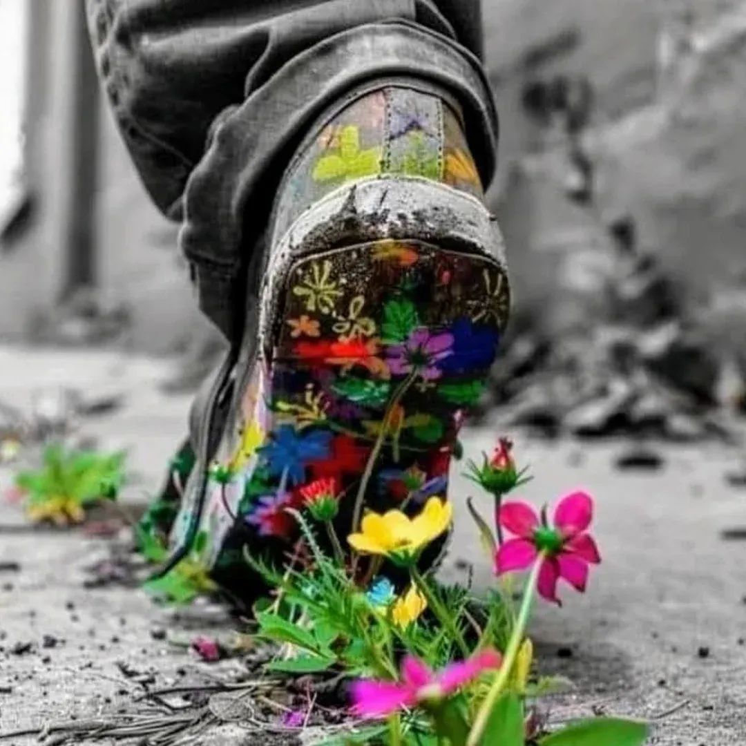 ercanöğretmen tweet media