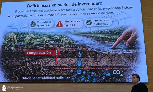 José Antonio Arcos tweet media