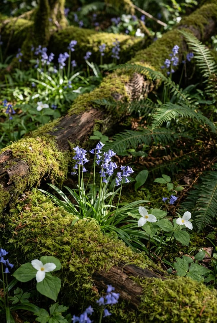 violetviolet tweet media