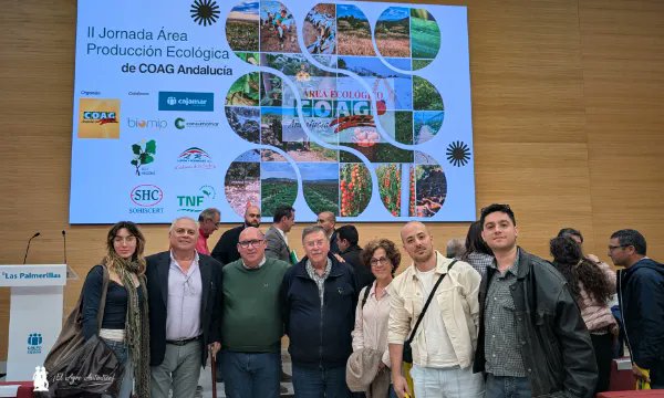 José Antonio Arcos tweet media