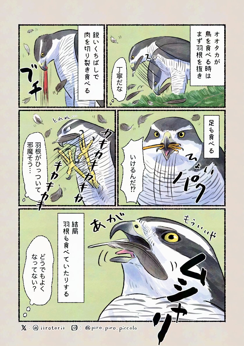 「丁寧なのか…?」
最終的にペリットとして吐き出すので問題無しです! 