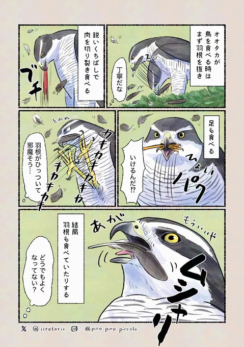 「丁寧なのか…?」
最終的にペリットとして吐き出すので問題無しです! 