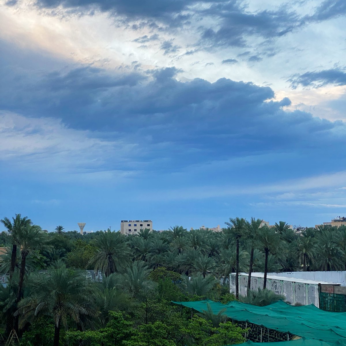 S. Hussain tweet media