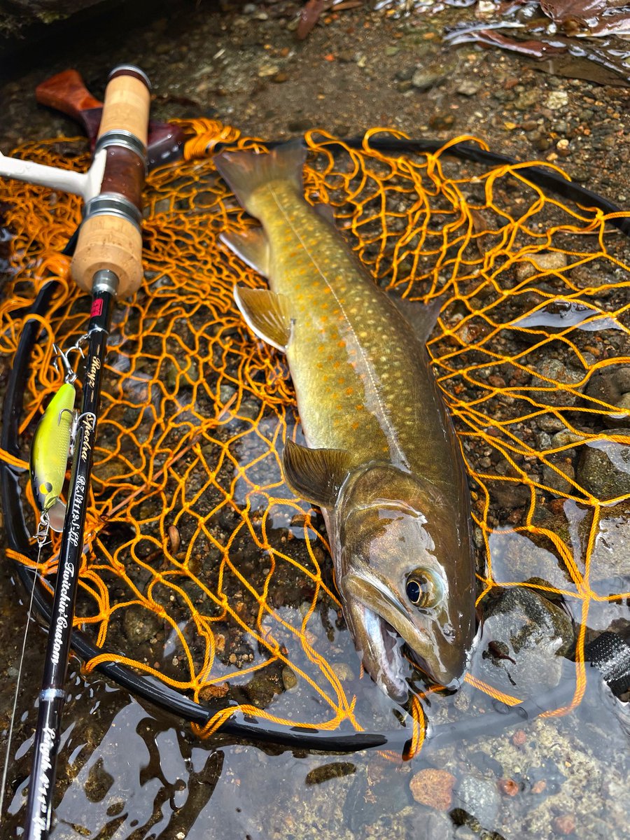 McYasiro's tweet photo. 感情をすり減らす琵琶湖を追え、久々の水系でイワナ狙い。
装備一新した上に、アタリ河川も見つけれて癒されました😍

#レイズスペクトラ
#カーディナル3
#ヤマセ48S https://t.co/aLhxBSUVp5