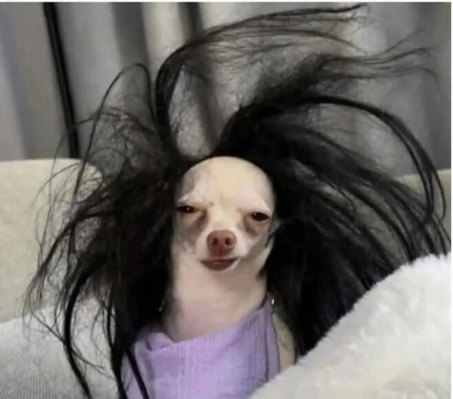 Real Adeola tweet media