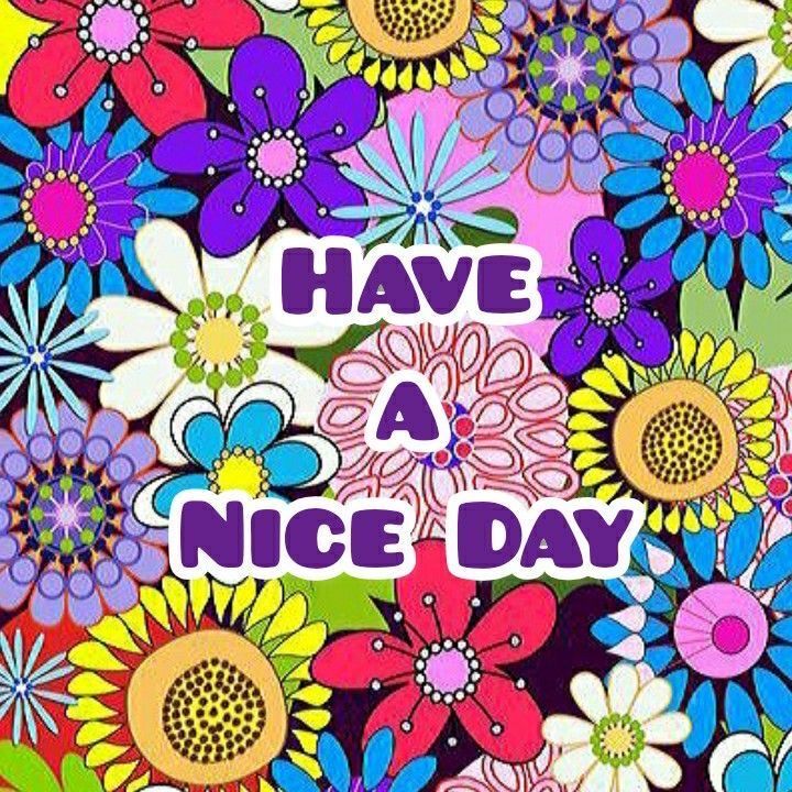 violetviolet tweet media