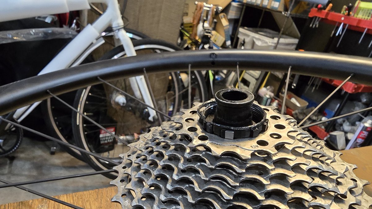 こたらん tweet media