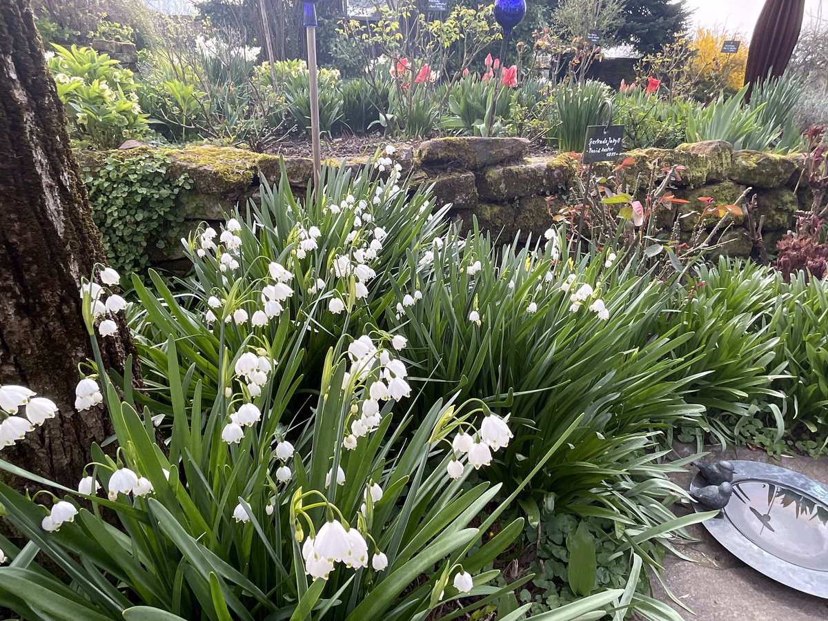 Claudia Paddington 🇺🇦🇮🇱 tweet media