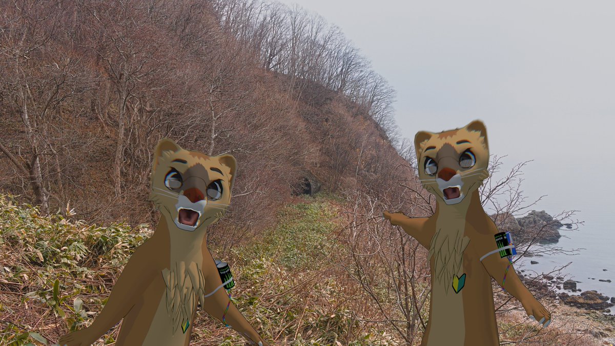 モリゲン tweet media