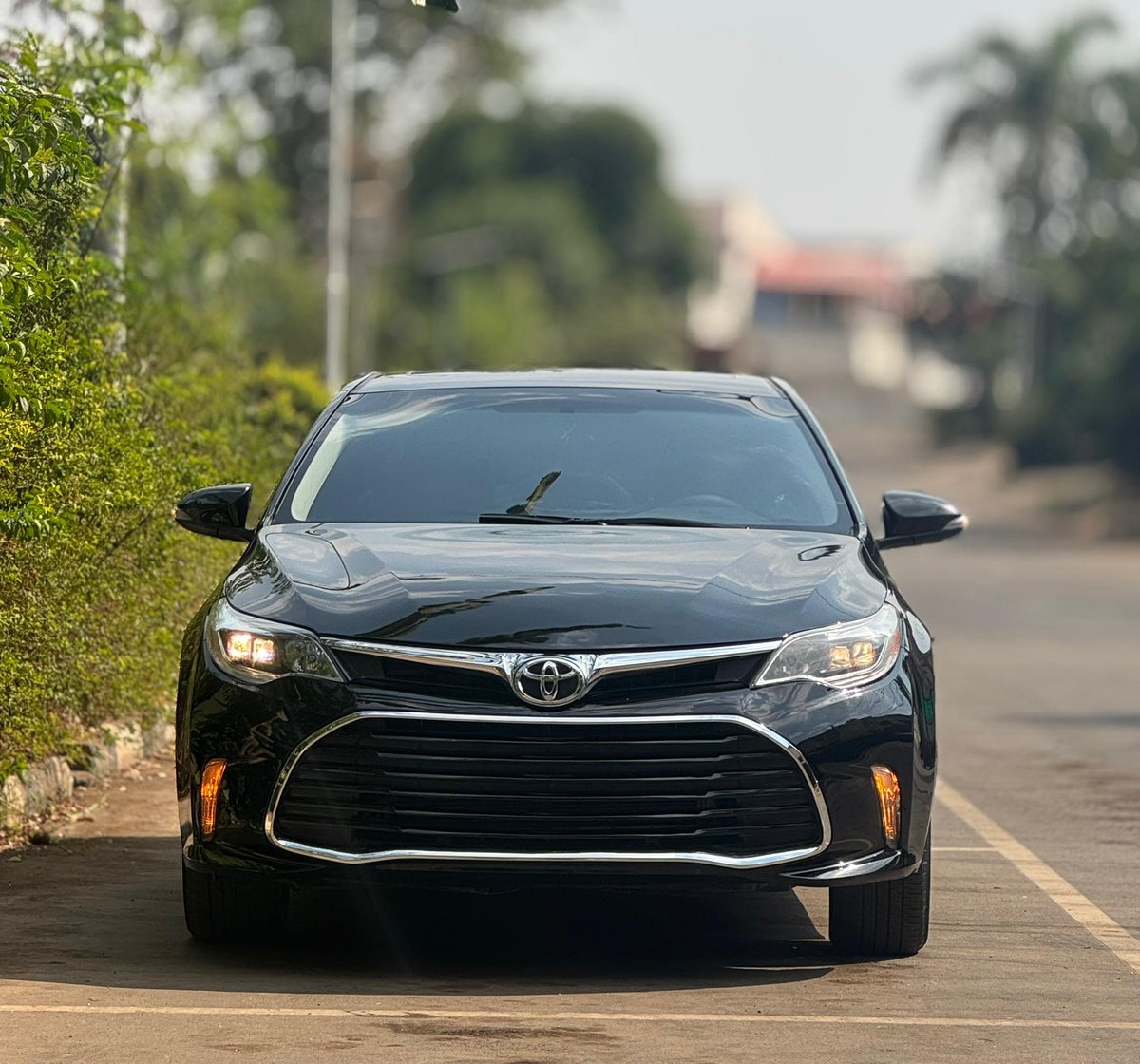 abujawhips tweet media