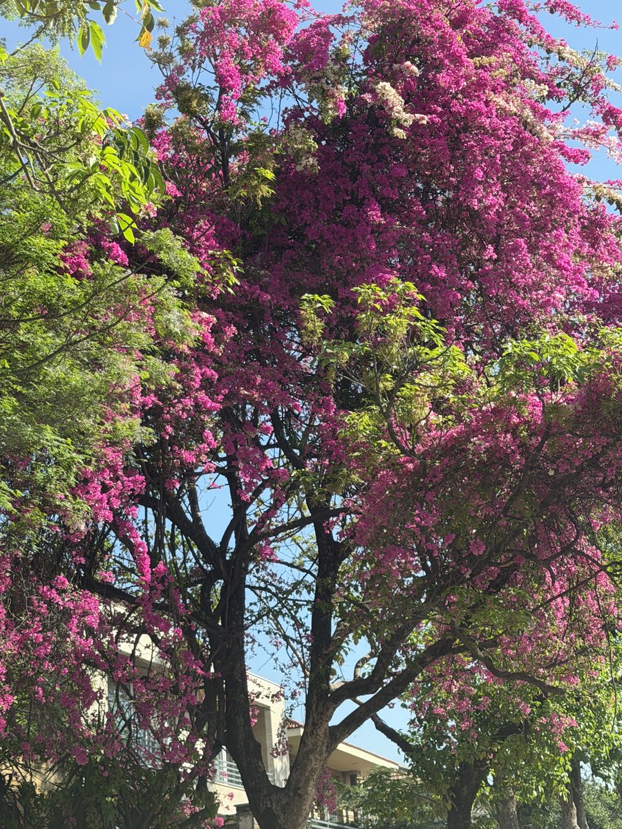 Abdul Majeed Khan Marwat tweet media