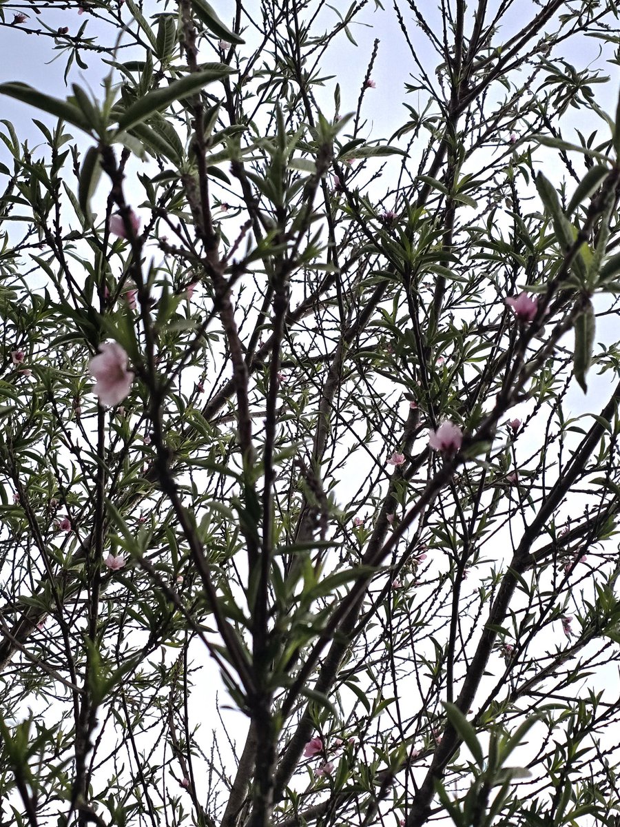 VANESSA MÉNDEZ tweet media