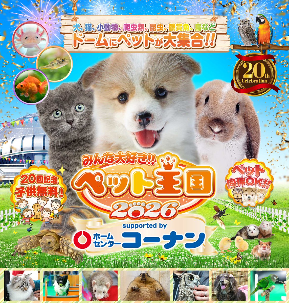 ベッド(急募)引っ越しの為大至急 🐕ペット王国2026のお知らせ🐈 今年も大人気のペット王国がやってくる