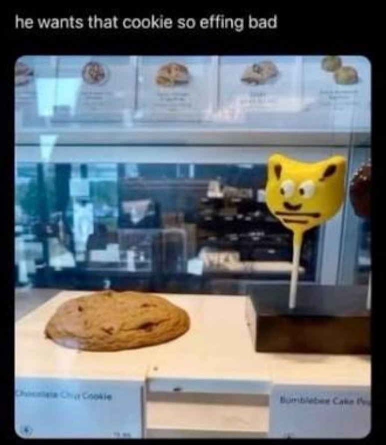 guadi is NOT OK 卌 tweet media