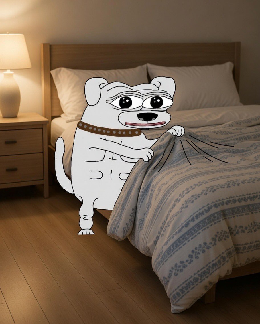 No Shoes Marvch tweet media