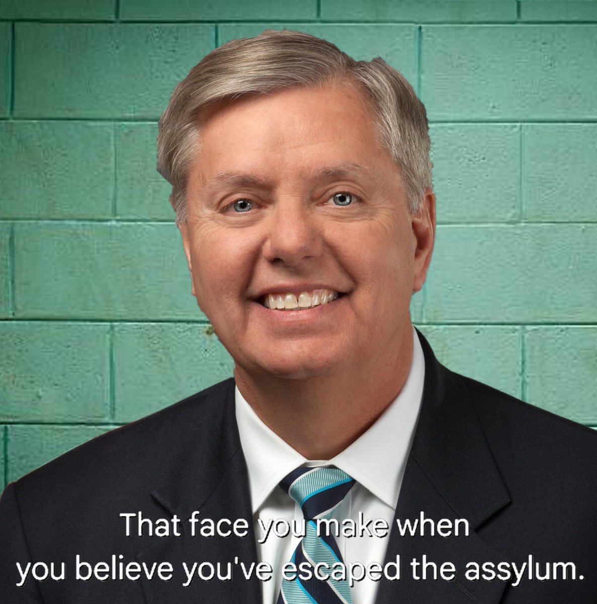 Manatee Max tweet media