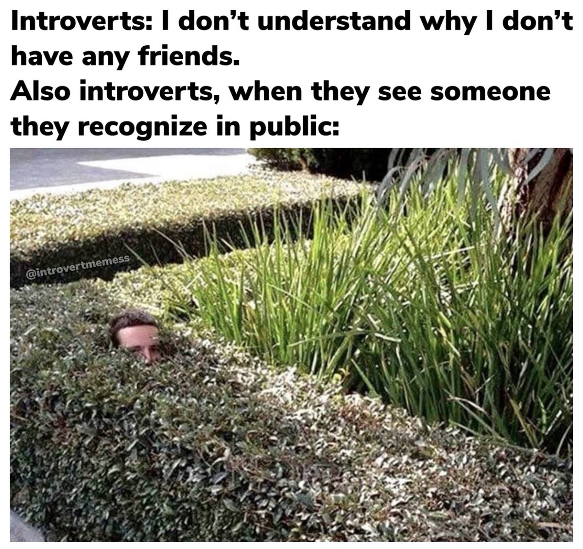 All About Introverts tweet media