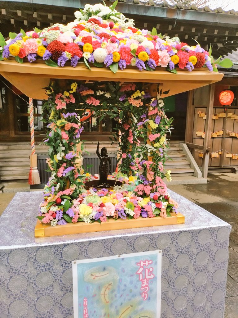 朽枯堂 tweet media