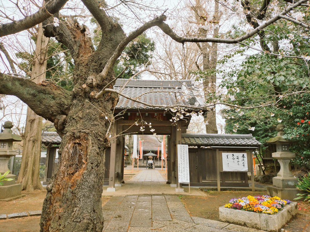 朽枯堂 tweet media