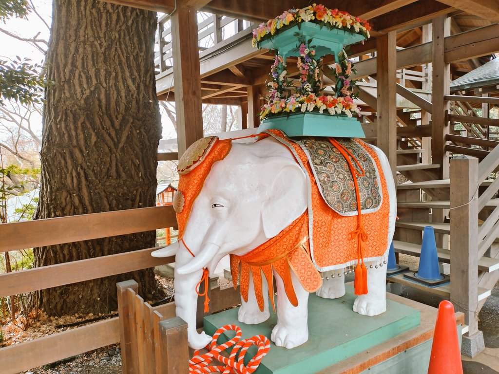 朽枯堂 tweet media