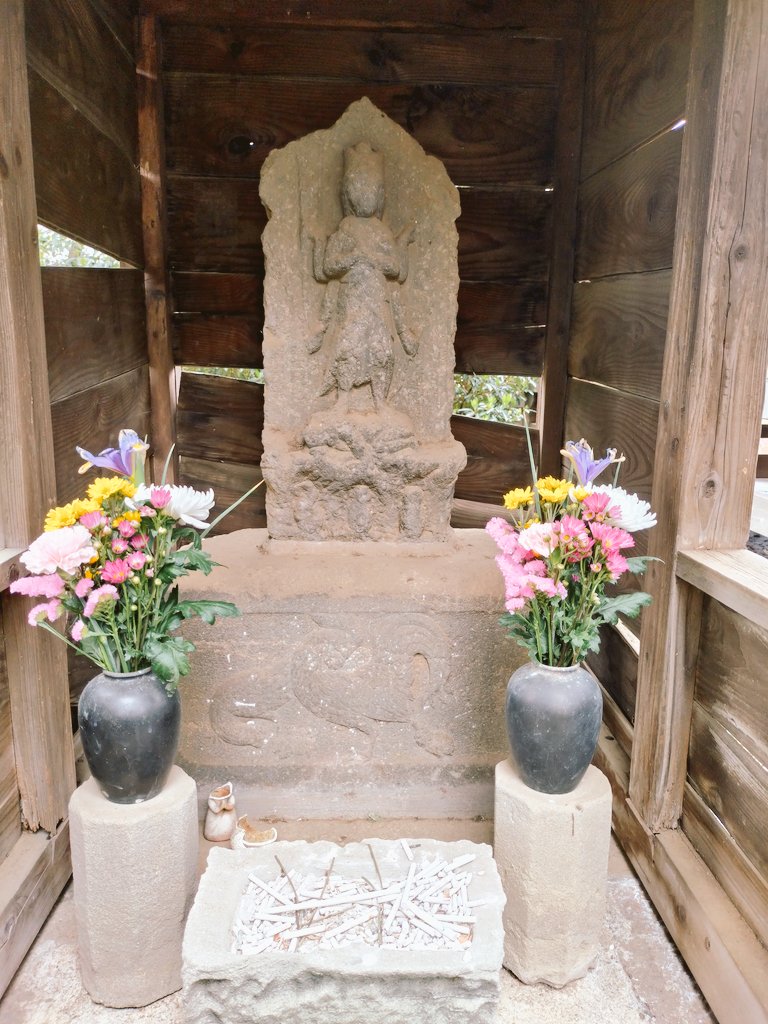 朽枯堂 tweet media