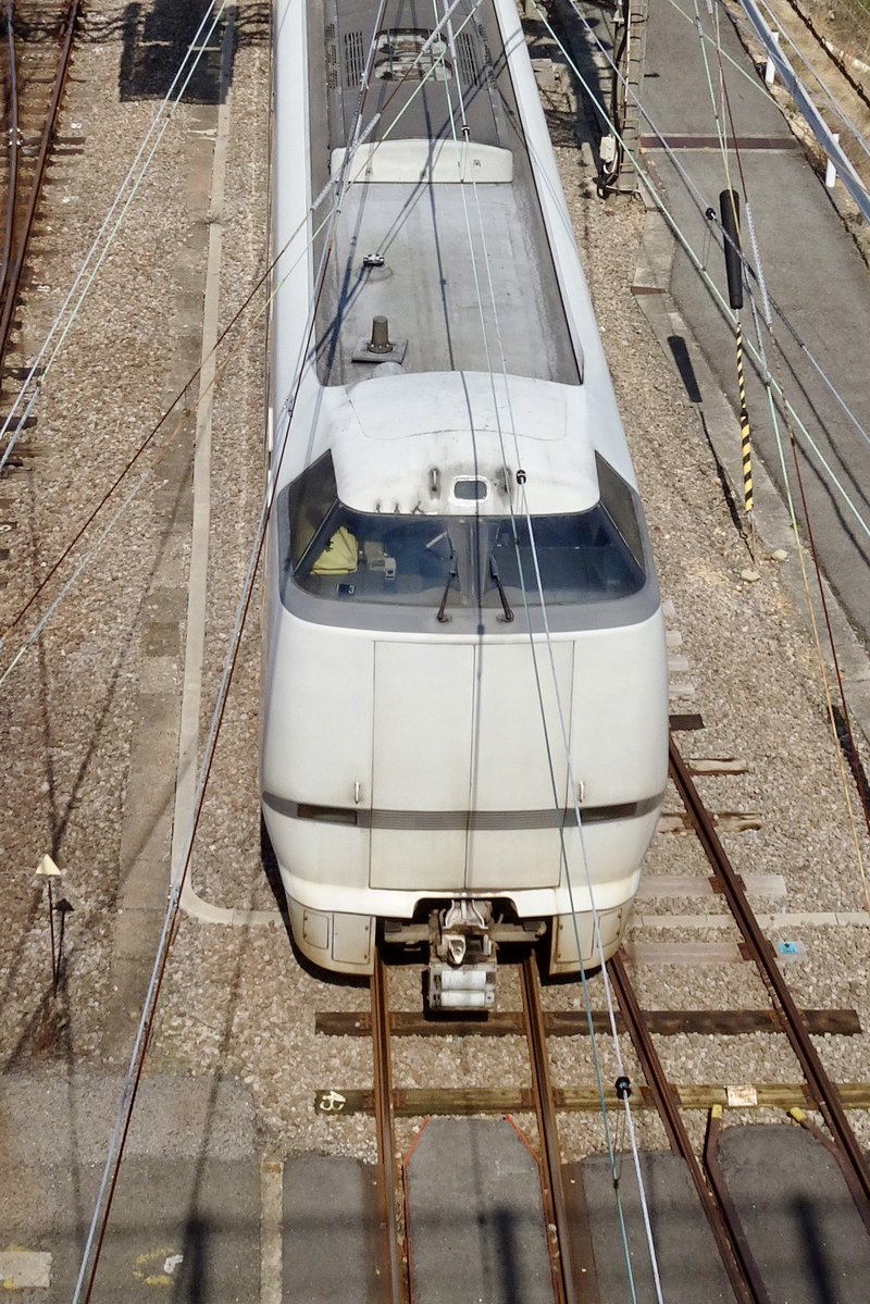 あびこ tweet media