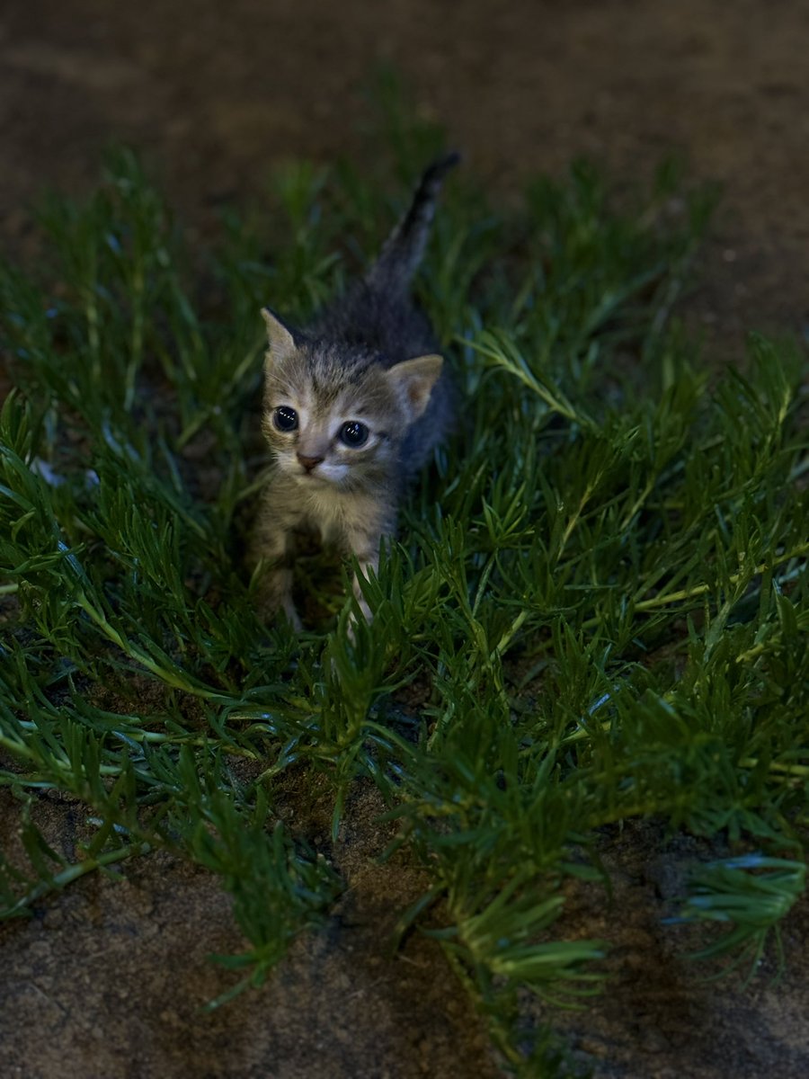 نافجة. (@ha12_58) on Twitter photo 