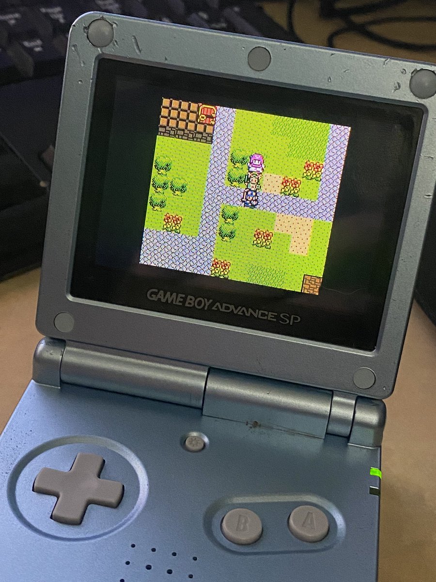 Robin Poe 🐑 tweet media