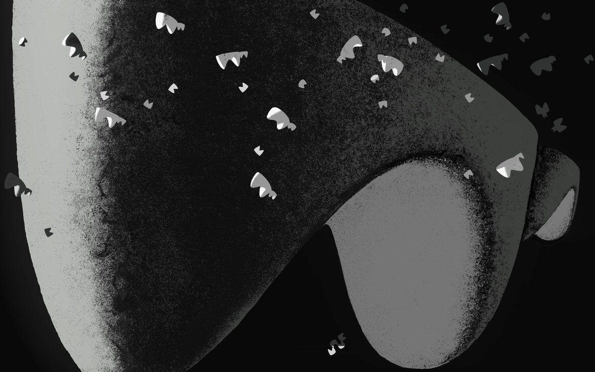 salamander tweet media