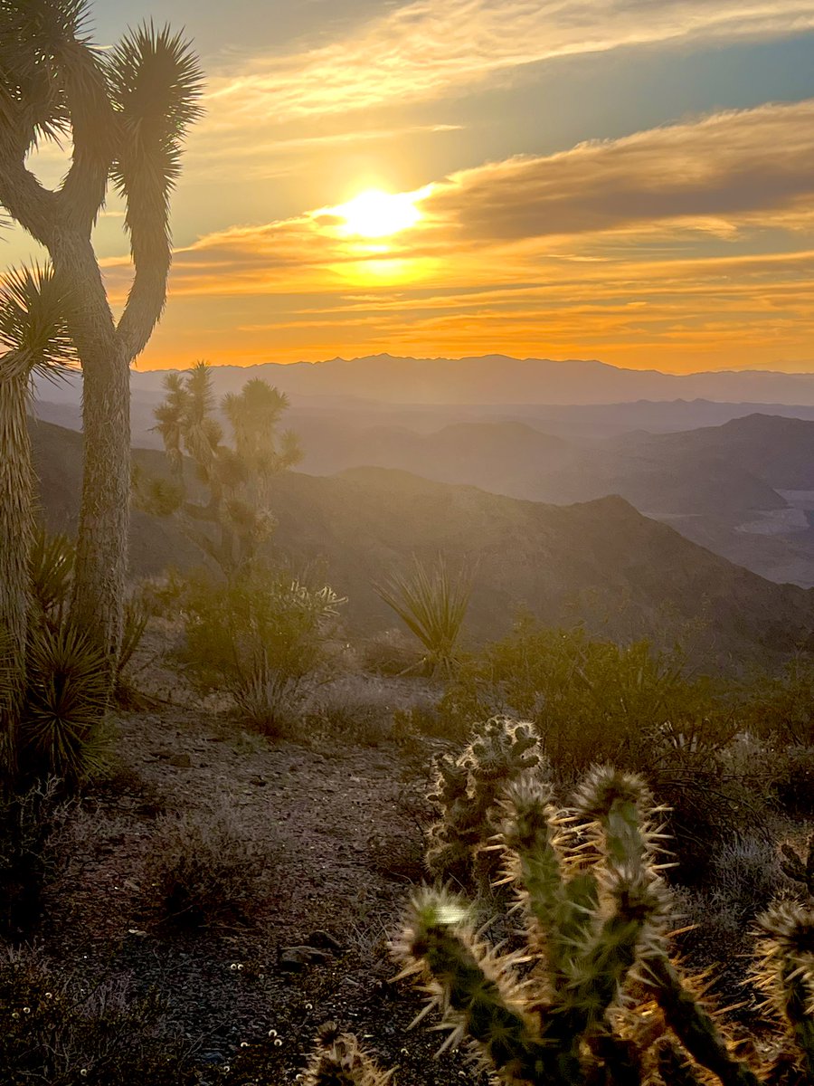 Flawwed1 tweet media