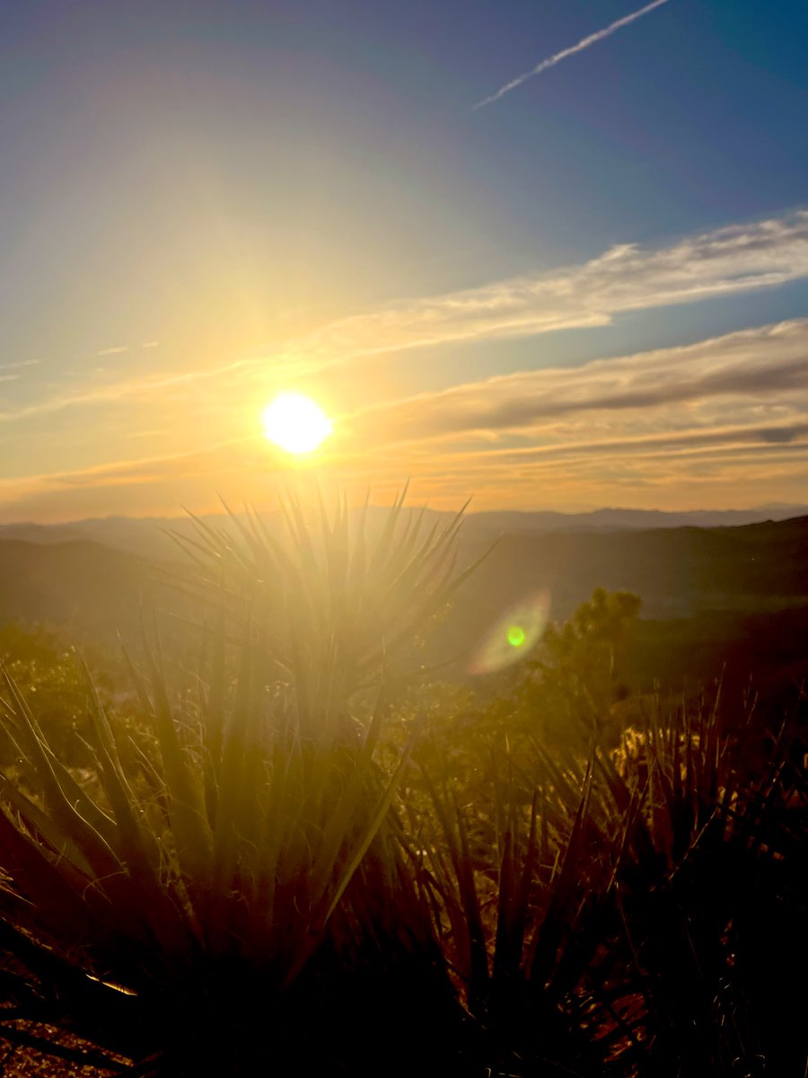 Flawwed1 tweet media