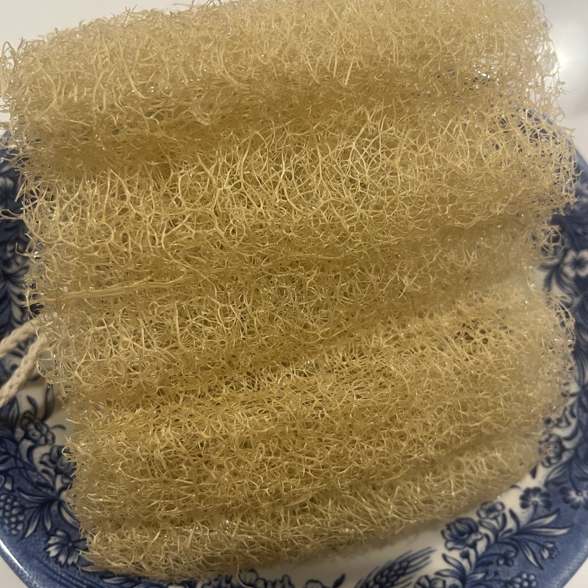 H.C. Fountain tweet media