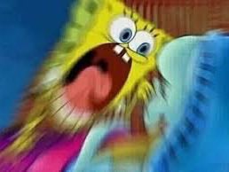 샌드백토끼 tweet media