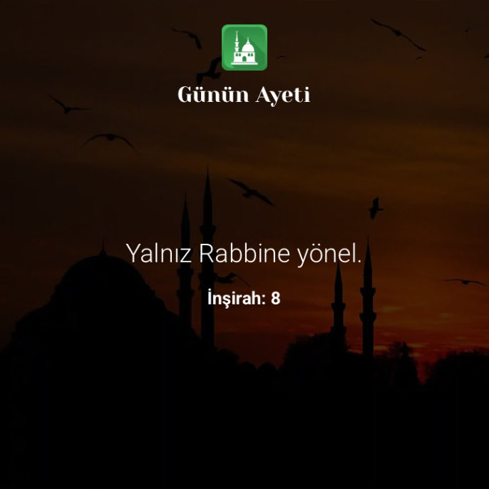 Mahmut POLAT tweet media