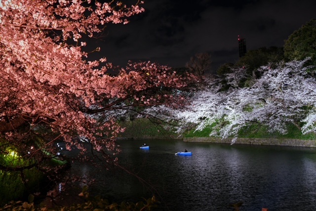 テプコ・ソリューション・アドバンス tweet media