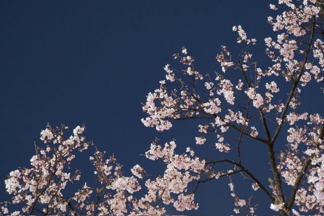 テプコ・ソリューション・アドバンス tweet media