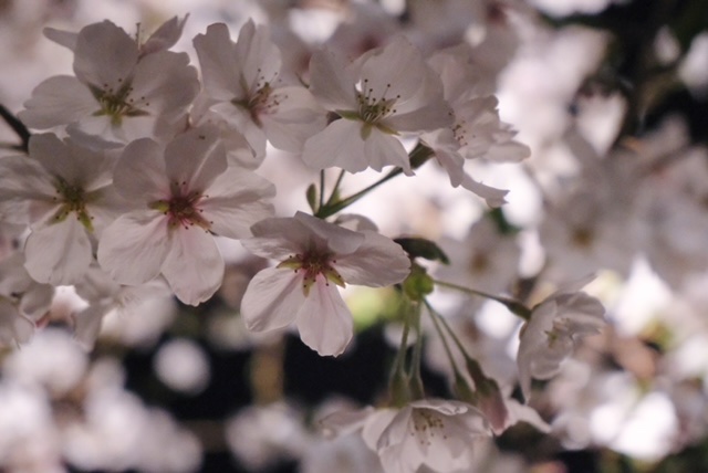 テプコ・ソリューション・アドバンス tweet media