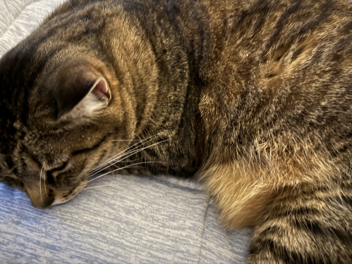 Laynne Talks 🩵✨ tweet media