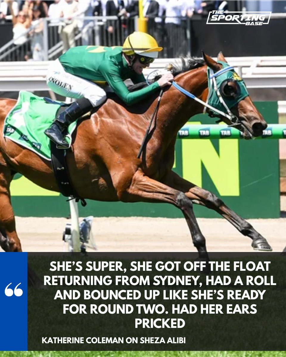 The Sporting Base - Horse Racing tweet media